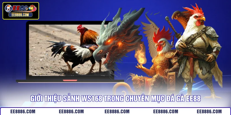 Giới thiệu sảnh WS168 trong chuyên mục đá gà EE88
