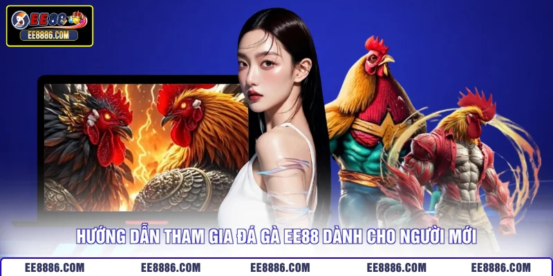 Hướng dẫn tham gia đá gà EE88 dành cho người mới
