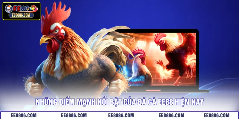 Những điểm mạnh nổi bật của đá gà EE88 hiện nay